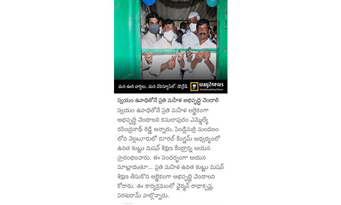 Pine Trees